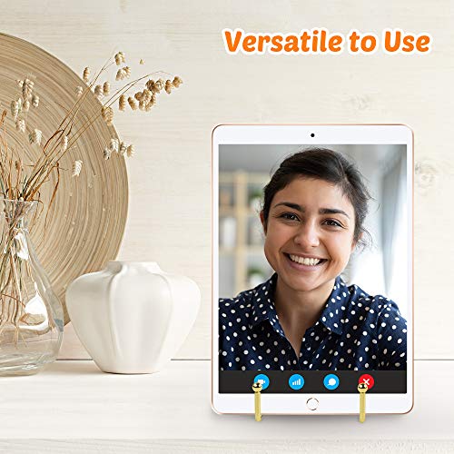 Mocoosy 2 Pack 6 Inch Gold Plate Stands for Display, Metal Square Wire Easel Stand, Plate Holder Display Stands, Picture Frame Stands for Display Photos, Decorative Platter, Plaques and Table Arts - color: Gold, size: 6 Inch