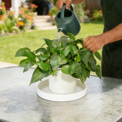 2 Pack 7 inch Plant Saucer Drip Tray, Heavy Sturdy Plastic Planter Flower Pot Drainage Tray Plate Saucers for Indoor Outdoor Garden, Plant Water Drip Trays for pots Base (7", Creamy White) - color: Creamy White, size: 7" - 2Pcs