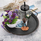 Hipiwe Industrial Style Metal Iron Tray Galvanized Serving Tray for Coffee Table, Home Decorative Centerpiece Tray Rustic Breakfast Serving Tray with Handles (Round) - style: Round