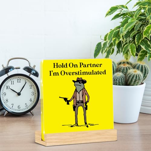Funny Office Decor Funny Office Gifts Hold On Partner Im Overstimulated Sign Work Desk Decor Acrylic Humor Gifts for Women Men Coworker Friend Home Office Decorations - color: Hold On Partner I'm Overstimulated