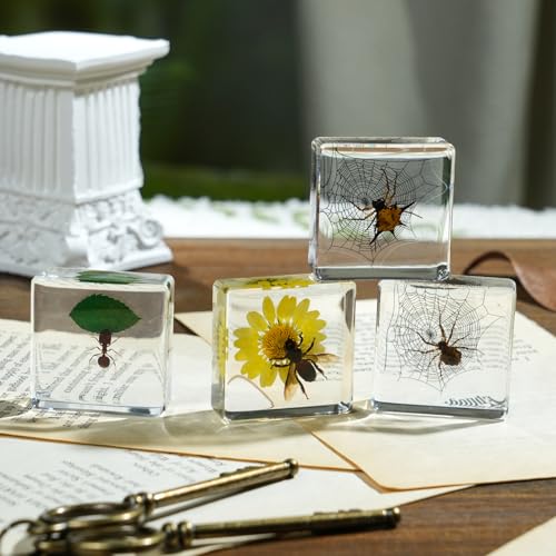 4Pcs Insect Taxidermy in Resin Specimen Set - Bugs in Clear Block for Oddities Collection, Home Decor & Unique Gift (1.5x1.5 inch) - color: 4pcs Insect (1.5x1.5in)