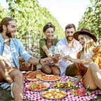 Stainless Steel Plates 2 Set Metal Dinner Dishes 9 Inch Unbreakable Dinner Plates Great for Snack,Nut,cake Picnic, Outdoor Camping Plate - Shatterproof Dishwasher Safe - size: Silver 9 Inch