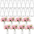 Mumufy 24 Pcs Plastic Bud Vases Bulk Small Clear Container for Flowers Height Shatterproof Crystal Bud Vase for Centerpieces Wedding Home Table Decorations Formal Dinners(3.15 x 5.91 Inch) - size: 3.15 x 5.91 Inch