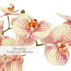 CG Hunter Faux Orange Orchid Plant, Premium Artificial Indoor Flower Display Stands 23”, Beautiful Sculptural Blooms That Lasts Forever, White Planter Pot Included - size: 23" Orange 4-Stem Orchid