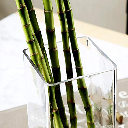 WGV Square Block Bud Vase, Width 2", Height 8", Clear Skinny Narrow Standard Floral Container Centerpiece for Wedding Party Event Home Office Decor, 1 Piece - size: 2"x8"H Block