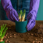 D'vine Dev Set of 2 Plants Pots, 3.5 Inch Ceramic Planter Pot for Plants with Drainage Hole and Saucer, Teal, 94-V-A-9 - color: Teal, size: 3.5 Inch