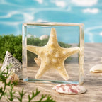 Taxidermy Starfish, Real Starfish Specimens Animal Specimen in Resin for Science Classroom Science Education, Great Gift for Fans of Taxidermy, Animal Skull, Oddities, Biology (3 x 3 x 1 inch) - color: Starfish