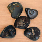 Rare Lakshmi Narayan Shaligram Shila Stone 2" inch from Gandaki River Nepal – 1 Pc Black Shaligram Ji for Pooja, Hindu Rituals, Spiritual Decor & Religious Gifts