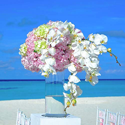 WGV Cylinder Vase, Width 7", Height 16", Clear Wide Large Diameter Flower Glassware, Floral Container, Planter Terrarium for Wedding Party Event, Home Accent Decor, 1 Piece - size: 7"x16"H