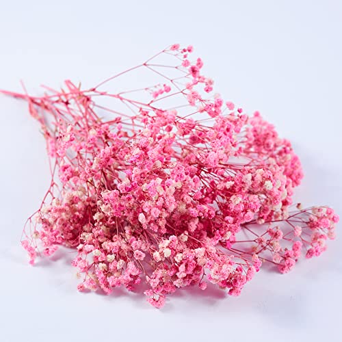 Preserved Baby's Breath 3 Bunches, 100% Natrual Fresh Gypsophila Long Lasting Flowers for Vase Arrangements Home Decoration Photo Props Parties and Weddings, DIY Décor-Pink - color: Pink