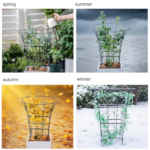 COOOXIM 27.5 x 22 Inches Peony Cages & Supports - Heavy Duty Metal Plant Obelisk Trellis for Outdoor Use, Perfect for Peonies, Roses, and Climbing Vines - Durable Garden Support Ring in M Shape - size: 27.5"x22"