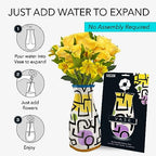 MODGY Collapsible and Expandable Flower Vase Plastic Decorative Modern Centerpieces Dining Table Decor Living Room Bathroom Wedding Office, Paul Klee Rich Harbour - style: Paul Klee Rich Harbour