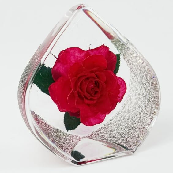 Real Rose Specimen in Heart-Shaped Clear Resin - Preserved Natural Rose Flower, Romantic Keepsake, Unique Home Decor (2.68" x 1.5" x 1.3") - color: Heart-shaped Rose (2.68" X 1.5" X 1.3")