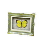 1Pcs Real Butterfly Framed Handmade, Taxidermy Butterfly Shadow Box Collection, Framed Butterfly Taxidermy for Oddities and Curiosities Gifts Tabletop Ornaments (H-Butterfly Specimen+Photo Frame) - color: H-butterfly Specimen+photo Frame