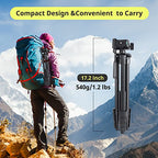 Sensyne 64" Camera Tripod Stand, Versatile Phone & iPad Tripod with Wireless Remote and 2-in-1 Phone Holder for Selfie/Video Recording/Photo/Live Stream/Vlog - size: 64-inch