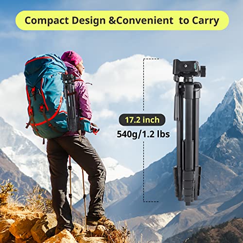 Sensyne 64" Camera Tripod Stand, Versatile Phone & iPad Tripod with Wireless Remote and 2-in-1 Phone Holder for Selfie/Video Recording/Photo/Live Stream/Vlog - size: 64-inch