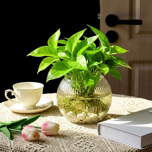 Hushee Clear Round Glass Vases for Centerpieces 4” W x 3.15” H Bubble Bowl Ribbed Glass Flowers Vases for Table Centerpieces Candle Holders for Wedding Event Home Decor