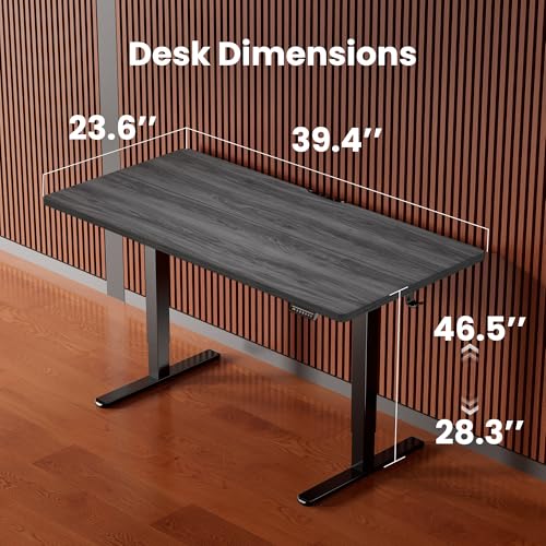 ErGear Height Adjustable Electric Standing Desk, 40 x 24 Inches Sit Stand up Desk, Memory Computer Home Office Desk, Grey - color: Grey, size: 39.4 x 23.6 Inches
