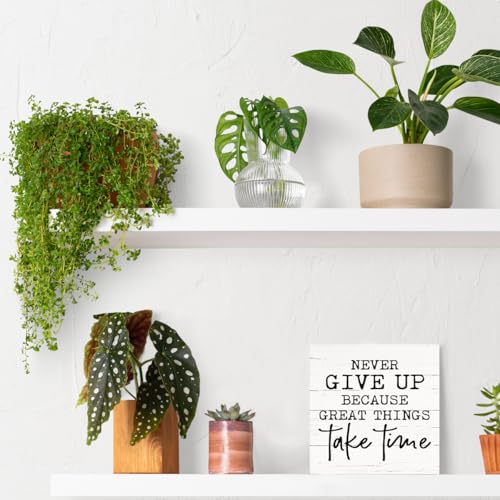 Motivational Wood Sign, Farmhouse Tabletop Decor, Home Office Desk Decor, Meaningful Gifts for Women Men, Decorative Wooden Signs and Plaques, Never Give Up Because Great Things Take Time Sign, White - color: Inspirational04