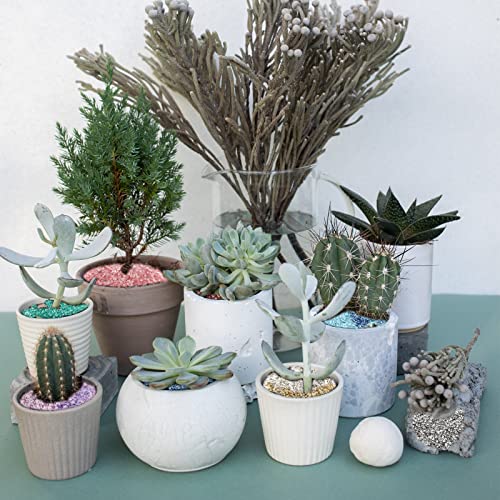 HappyFiller 1.3 Pound Broken Crushed Glass 3-7mm Fairy Garden Succulent Gravel Soil Cover Mini Stone Pieces,Vase Filler,Candle Holder Decor Mini Rock,DIY Resin Art,Paint,Craft Glitter,Pacific Blue - color: Pacific Blue