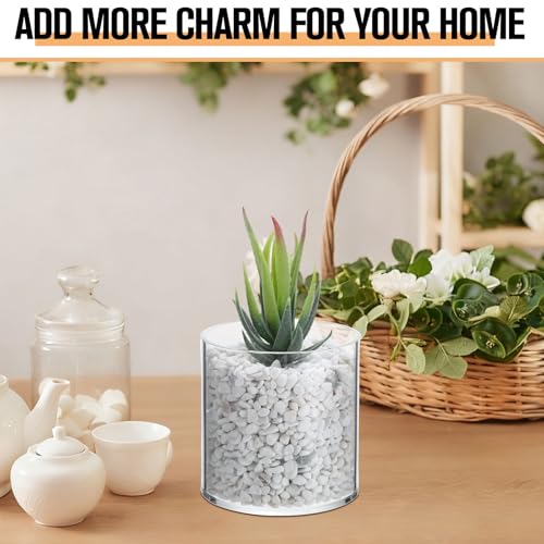 meekoo 3 Pcs Flower Acrylic Vase Cylinders Round Decorative 4 x 4 in, 5 x 6 in, 6 x 8 in Vase Break Resistant Acrylic Flower Cylinder for Centerpiece Home Wedding Decor(Clear, Classic) - color: Classic, size: 4 x 4 in, 5 x 6 in, 6 x 8 in