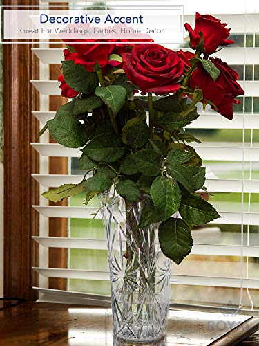 Royal Imports Flower Acrylic Vase Decorative Centerpiece for Home or Wedding Non-Breakable Plastic - 10" Tall, 6" Opening - Clear - size: 10" x 6"