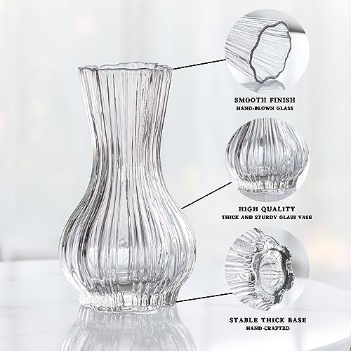 10" Decorative Modern Flower Vase for Floral Arrangements, Large Elegant Clear Glass Vase for Bouquet(Transparent) (Clear, 01) - color: Clear, size: 01