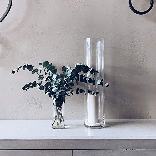 WGV Cylinder Vase, Width 6", Height 20", Clear Glass Container Terrarium Candle Holder for Wedding Centerpiece, Party Event, Home Office Decor, 1 Piece - size: 6"x20"H