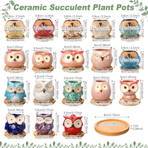 Cindeer 18 Pcs 2.5 Inch Owl Ceramic Succulent Planter Pots Mini Small Ceramic Pots with Drainage Hole and Bamboo Tray for Succulents Glaze Cactus for Home Garden Office Desk Decoration Gift Ideas - style: Owl