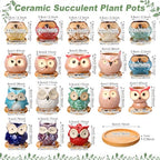 Cindeer 18 Pcs 2.5 Inch Owl Ceramic Succulent Planter Pots Mini Small Ceramic Pots with Drainage Hole and Bamboo Tray for Succulents Glaze Cactus for Home Garden Office Desk Decoration Gift Ideas - style: Owl