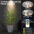 HAMVIDNE LED Spotlight, Rechargeable Battery Picture Lights, Uplighting Indoor, Spot Light with Remote, Plant Tree & Wall Art Display Dartboard Closet Spotlight-White - color: Chargeable White, size: 2 Pack