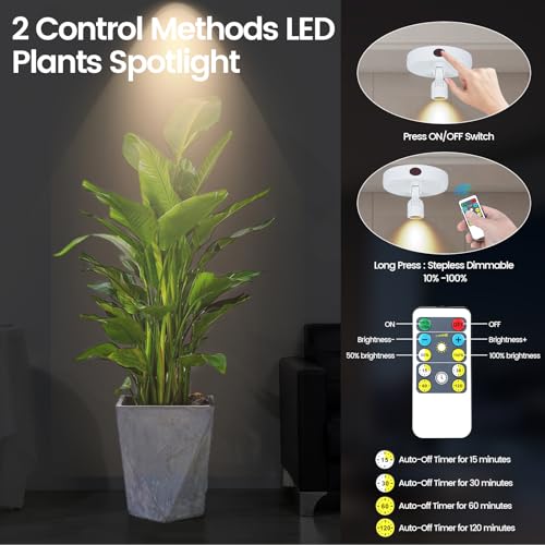 HAMVIDNE LED Spotlight, Rechargeable Battery Picture Lights, Uplighting Indoor, Spot Light with Remote, Plant Tree & Wall Art Display Dartboard Closet Spotlight-White - color: Chargeable White, size: 2 Pack