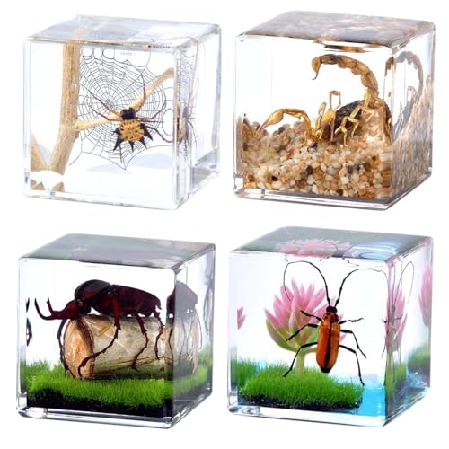 4Pcs Insect Taxidermy in Resin, Interesting Square Microlandscape Insect Specimen Set for Back-to-School Gifts Oddities Bug Collection Paperweights Science Education Supplies (1.57x1.57 inch) - color: Insect A