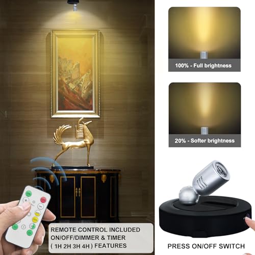 HAMVIDNE Spotlight Indoor, Battery Powered Spot Lights with Remote, Plant Uplights, Timer Dimmable Tree Spotlights, Picture Light for Wall Art Display Dartboard Painting Artwork Accent-2Pack - color: Black-Silver