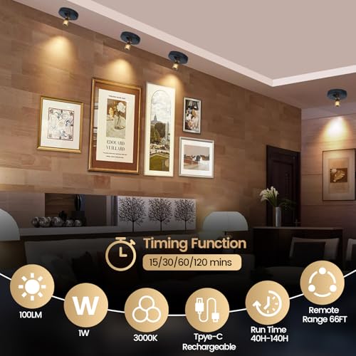 HAMVIDNE LED Spotlight, Rechargeable Battery Spot Lights with Remote, Uplighting Indoor, Stick Plant Spotlights for Wall Art Display Artwork Picture Painting-2Pack - color: Chargeable Black Gold, size: 2 Pack