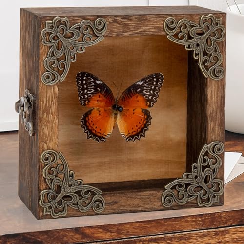 Taxidermy Butterfly Shadow Box Picture Frame - Real Framed Butterflies Meticulously Handcrafted, Framed Butterfly Taxidermy for Dark Academia Decor (Red Saw Nymphalid (Nymphalidae)) - color: Red Saw Nymphalid (Nymphalidae)