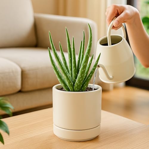 D'vine Dev Set of 4 Small Ceramic Plant Pots, 4.7 Inch Succulent Planter Pot for Plants with Drainage Hole and Saucer, Oatmeal, 94-X-B-8 - color: Oatmeal, size: 4.7 Inch