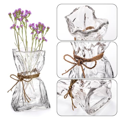 Covzoe Glass Vase, 8.7 Inch Tall Irregular Shaped Flower Vase with Hemp Rope, Clear Art Decorative Vases, Modern Home Bouquet Vases for Wedding, Living Room, Dining Table, Office