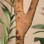 Kazeila Artificial Olive Tree 5FT Tall Faux Silk Plant for Home Office Decor Indoor Fake Potted Tree with Natural Wood Trunk and Lifelike Fruits - size: 5ft
