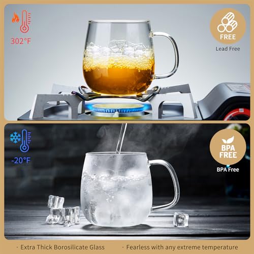 DOPUDO Large Glass Tea Cup, 25.6 oz Borosilicate Glass Tea Mug with Infuser and Lid, Clear Tea Cups for Brewing Scented Tea and Tea Bag. - size: 25.6OZ