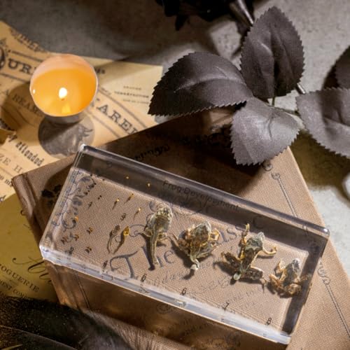 Frog Development Specimen in Resin - Transparent Resin Block Showing Life Cycle from Egg to Adult Frog (5.5 x 2.5 x 0.8 Inches) - color: Frog Development Specimen (5.5" X 2.5" X 0.8")