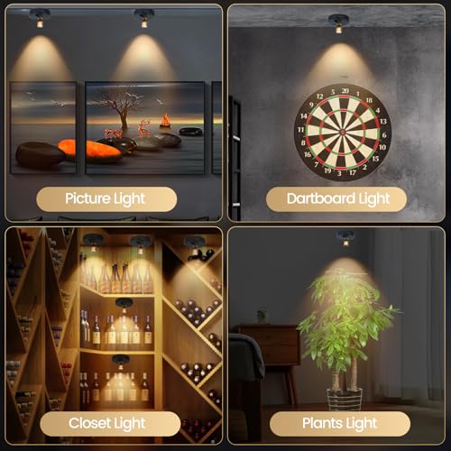 HAMVIDNE LED Spotlight, Rechargeable Battery Spot Lights with Remote, Uplighting Indoor, Stick Plant Spotlights for Wall Art Display Artwork Picture Painting-2Pack - color: Chargeable Black Gold, size: 2 Pack
