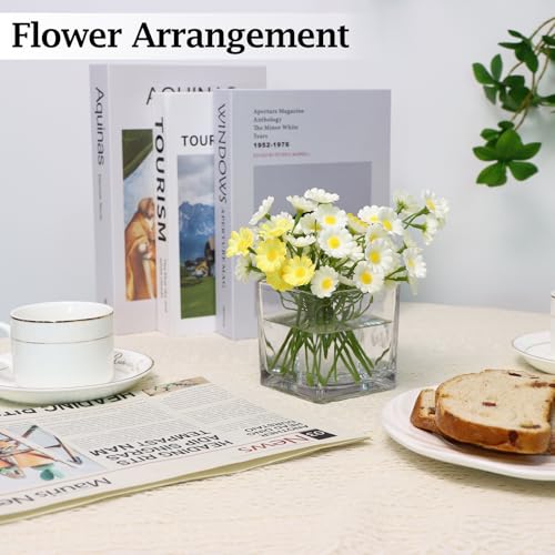 Set of 6 Square Glass Vases 3" x3" x 3", Clear Flower Vases for Centerpieces, Candle Holder for Wedding Party Events, Home Décor - size: 3inch
