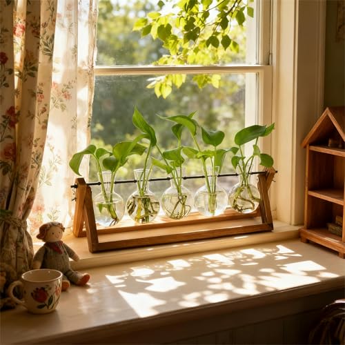 Renmxj Plant Propagation Station, Propagation Vases for Plants, Unique Gardening Birthday Gifts for Women Plant Lovers Mom Best Friend - 5 Bulb Glass Vases - size: 5 Bulb Vase