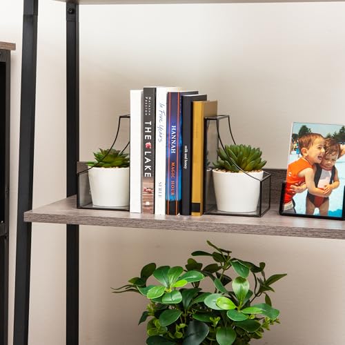 Mind Reader Terrarium Bookends, Decorative Book Holders with Storage, Modern Organizer for Desk or Shelf, Glass, Metal, Set of 2, Black - color: Black