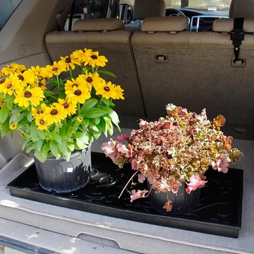 Medium Boot Tray