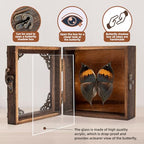 Real Butterfly Shadow Box Picture Frame - Framed Butterfly Taxidermy Meticulously Handcrafted, Gothic Decor Butterfly Small Shadow Box (Dried Leaf Butterfly (Family Papilionidae)) - color: Dried Leaf Butterfly (Family Papilionidae)