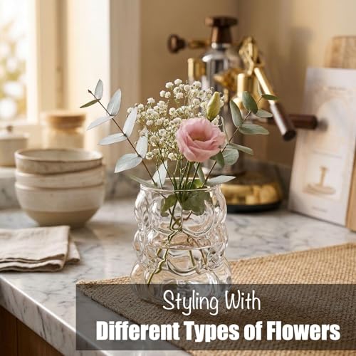 2PCS Small Bubble Glass Bud Vase: Light Weight Short Wide Mouth Crystal Clear Vase - Mini Aesthetic Funky Vase for Hydroponic Plants, Dried Flowers, Table Centerpiece, Coffee Side & Desk Modern Decor