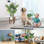 Rnined Adjustable Plant Stand Indoor,Bamboo Mid Century Modern Plants Stands, Stable Plant Holder,Fit 8 9 10 11 12 inch Pots (Pot & Plant Not Included)(Black) - color: Black