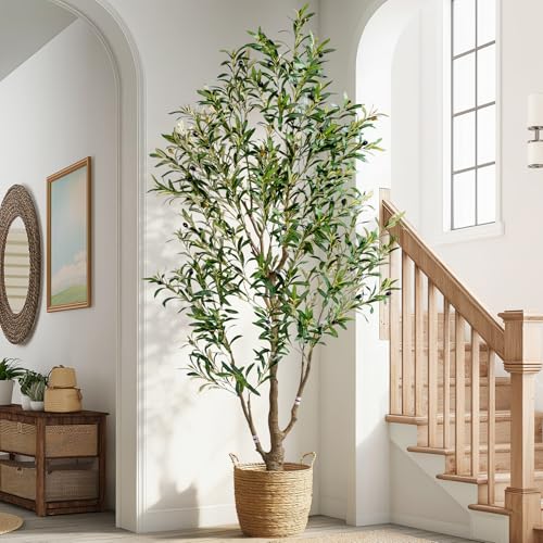 6ft Faux Olive Tree with White Pot & Moss, Artificial Olive Tree Indoor Outdoor, PE/PVC Leaves, Realistic Resin Trunk Large Fake Olive Tree Artificial Plants Indoor, Faux Plants Indoor for Home Decor